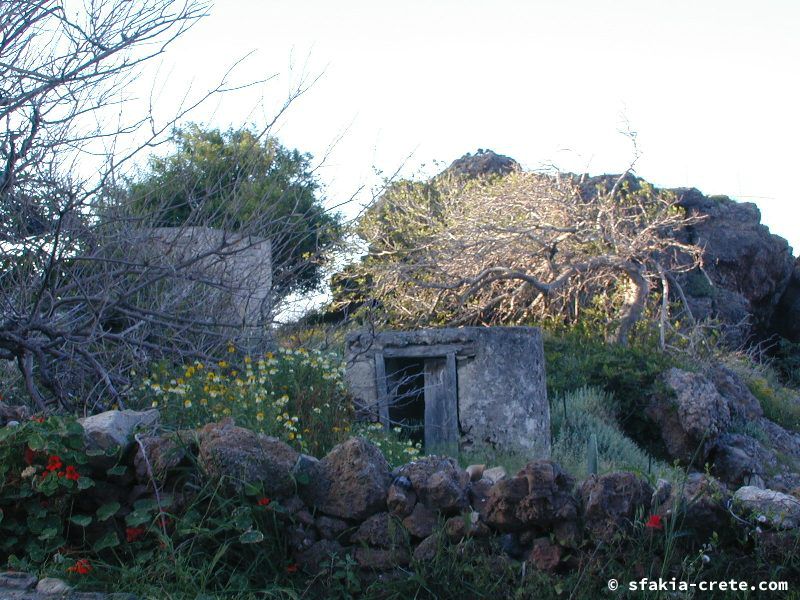 Photo report of a visit around Sfakia, Sougia and Loutro, southwest Crete, April 2007